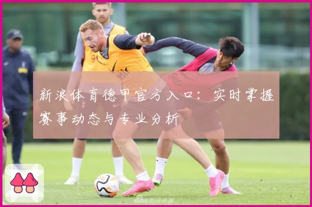 新浪体育德甲官方入口：实时掌握赛事动态与专业分析
