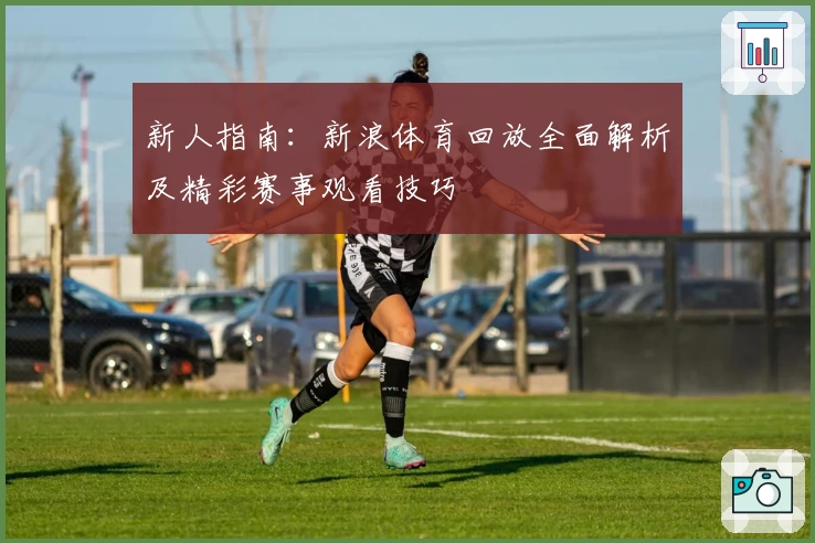 新人指南：新浪体育回放全面解析及精彩赛事观看技巧