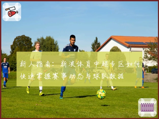 新人指南：新浪体育中超专区如何快速掌握赛事动态与球队数据