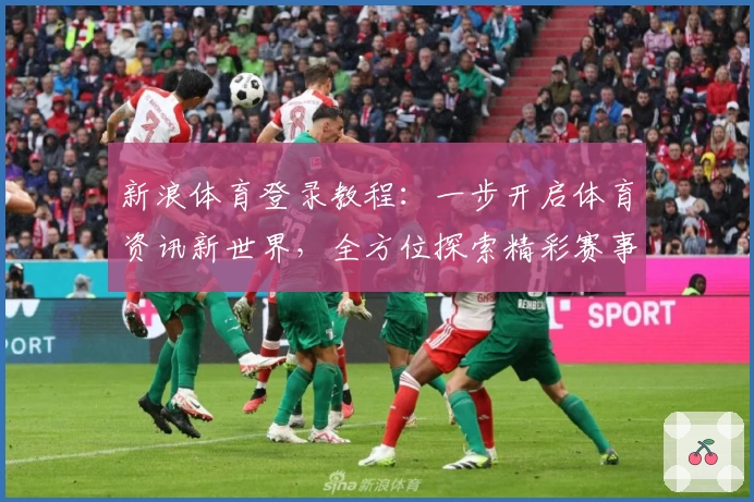 新浪体育登录教程：一步开启体育资讯新世界，全方位探索精彩赛事