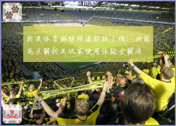 新浪体育排球频道新版上线：功能亮点解析及玩家使用体验全解读