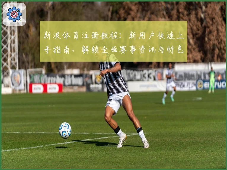 新浪体育注册教程:新用户快速上手指南,解锁全面赛事资讯与特色功能