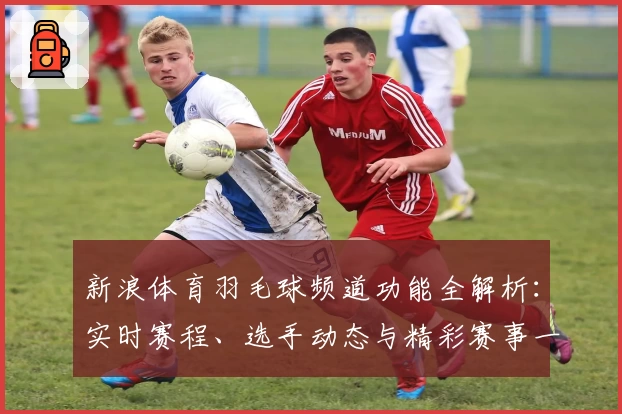 新浪体育羽毛球频道功能全解析：实时赛程、选手动态与精彩赛事一网打尽
