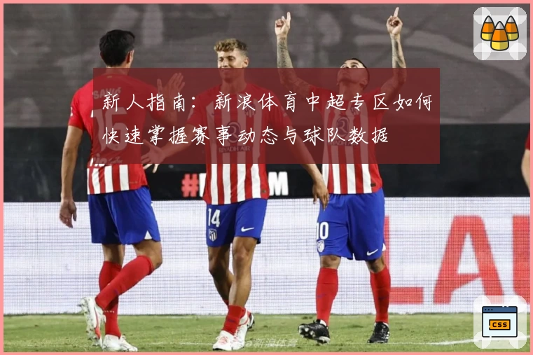 新人指南：新浪体育中超专区如何快速掌握赛事动态与球队数据