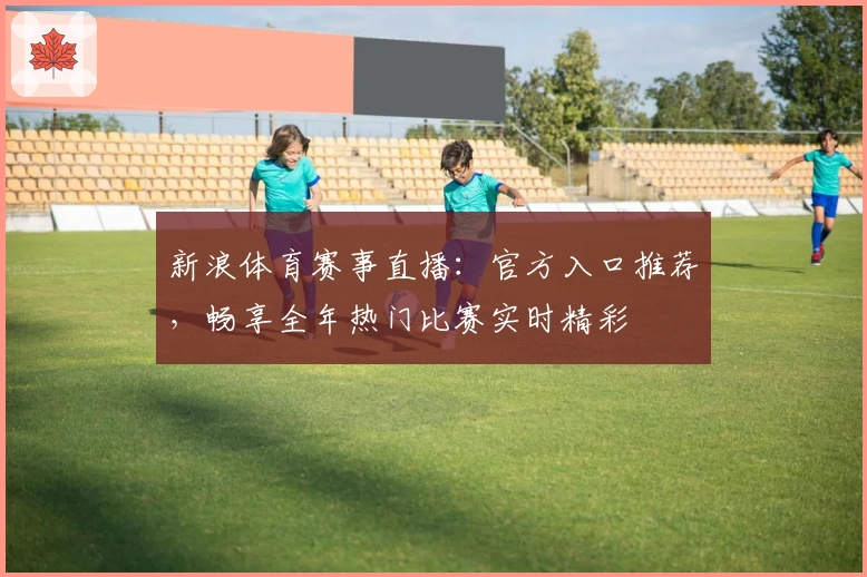 新浪体育赛事直播：官方入口推荐，畅享全年热门比赛实时精彩